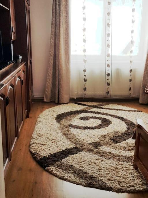 Ferienwohnung Garsoniera Emilia Câmpulung Moldovenesc Exterior foto